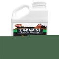 Control Solutions Control Solutions 82210011 24D Amine; 1 gal - Pack of 4 82210011